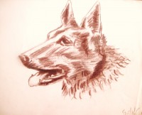 /album/pastels-et-dessins/beaute-canine-jpg/